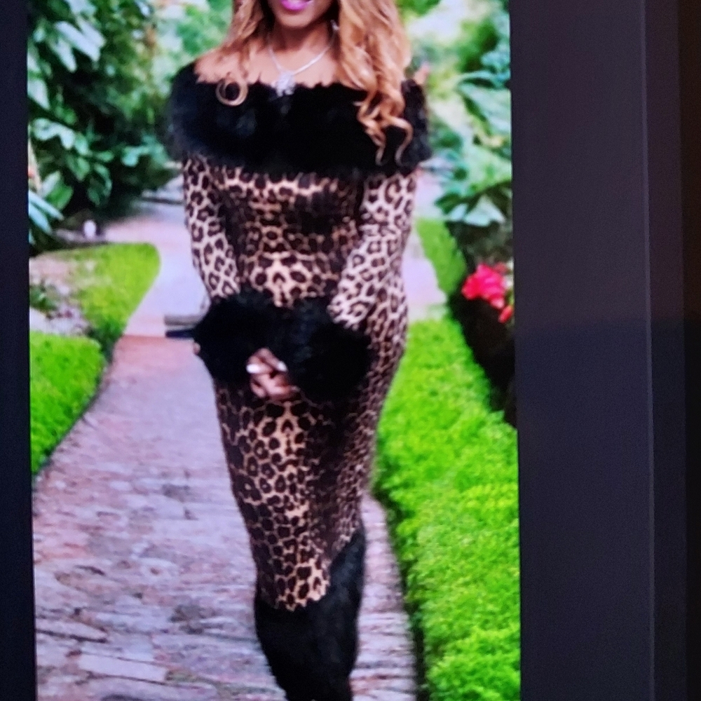 Leopard Print Faux Fur Trim Dress